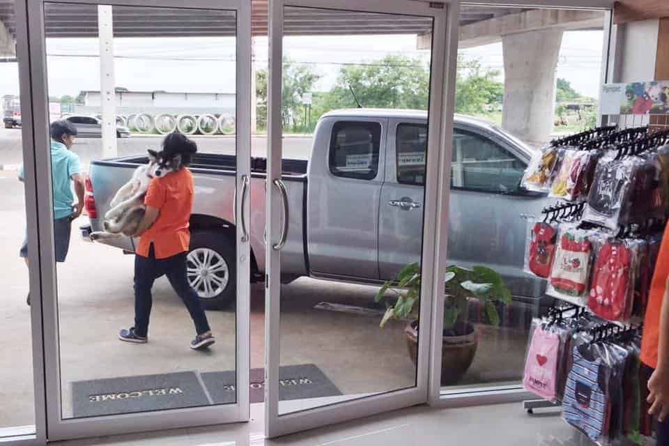 Famicare Pet Hospital (โรงพยาบาลสัตว์ แฟมิแคร์) 1