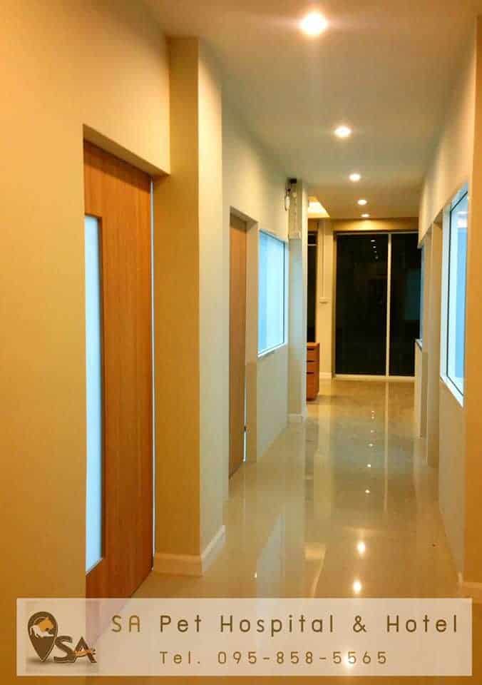 โรงพยาบาลสัตว์และโรงแรมสัตว์เลี้ยง สุวรรณภูมิแอร์พอร์ต 5