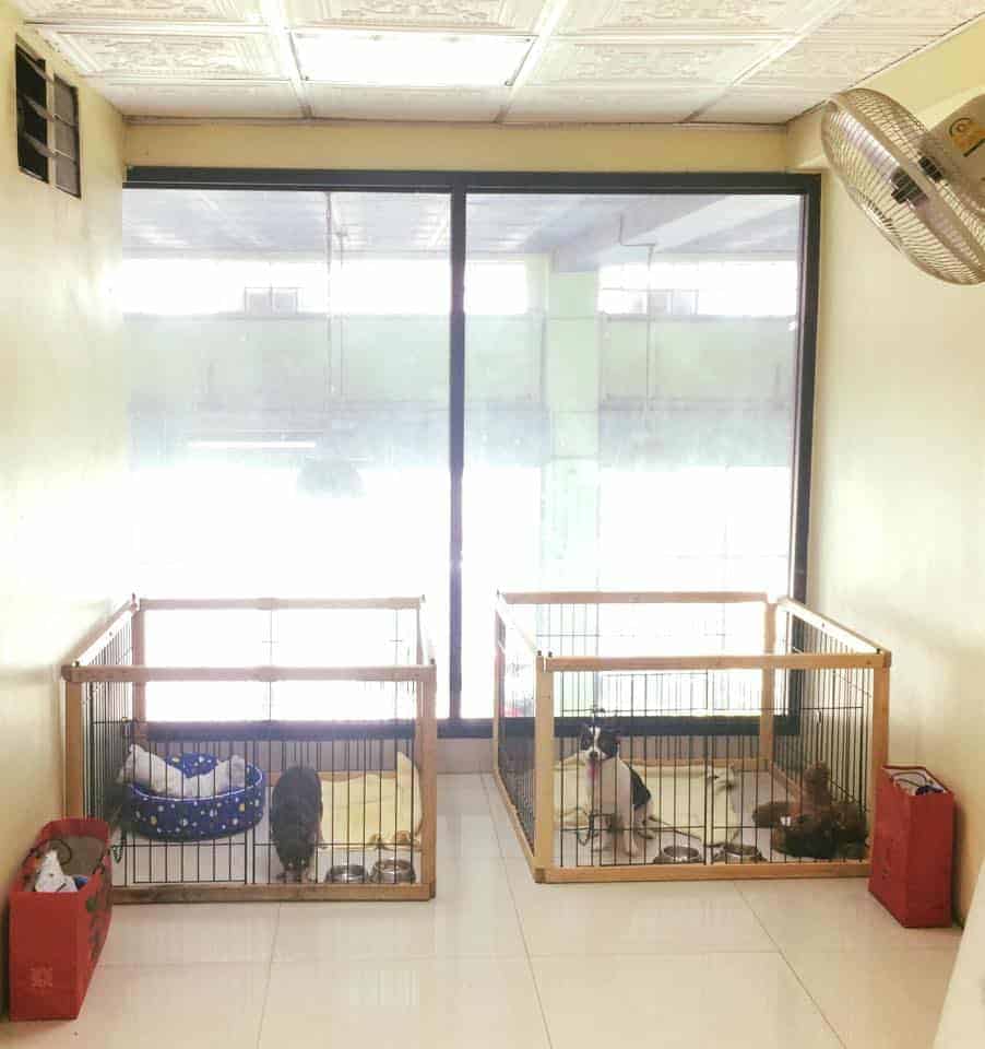 โรงพยาบาลสัตว์ศิรินครินทร์ 4