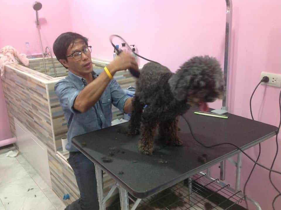 Pet Castle Animal Hospital (รัตนาธิเบศร์) 3