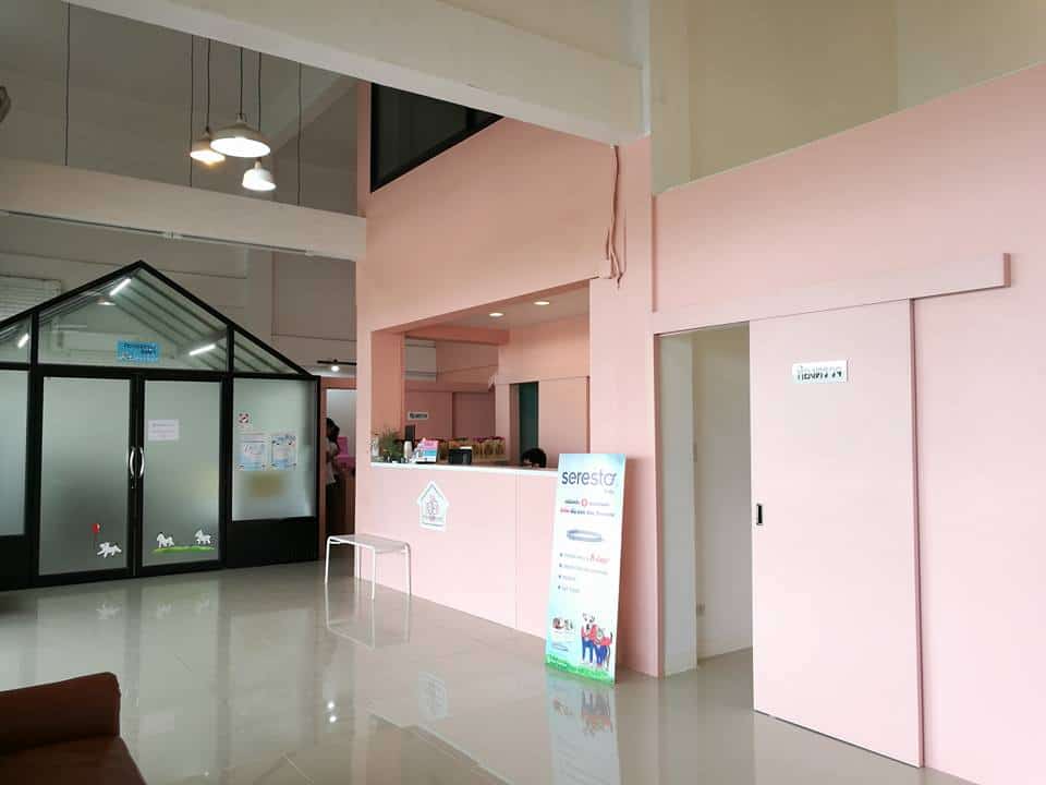 โรงพยาบาลสัตว์เพ็ทซิเดนซ์ Petsidence 1