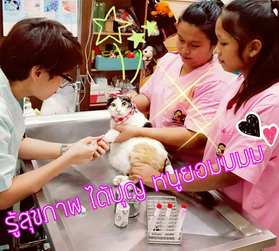 Dr.chula's animal clinic (คลินิกสัตว์ด๊อกเตอร์จุฬา) 5