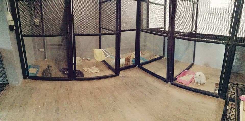 โรงพยาบาลสัตว์เพ็ทซิเดนซ์ Petsidence 3