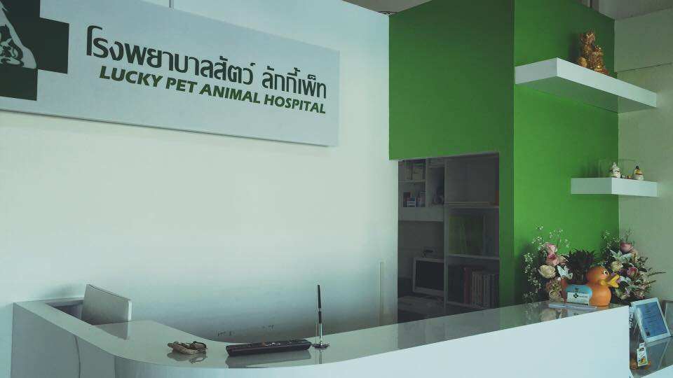 โรงพยาบาลสัตว์ลักกี้เพ็ท Lucky Pet Animal Hospital 7