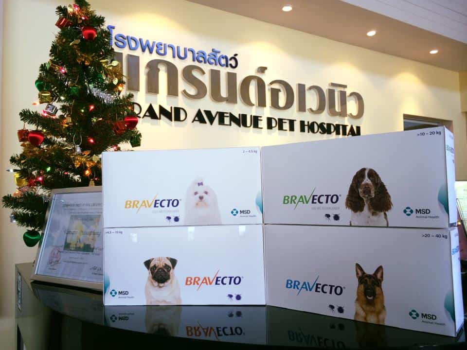 Grand Avenue Pet Hospital (โรงพยาบาลสัตว์แกรนด์อเวนิว) 3