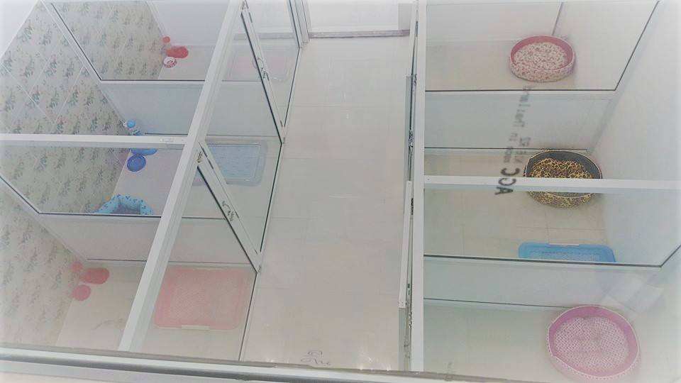 The living dog hotel (อินทามระ 47) 3