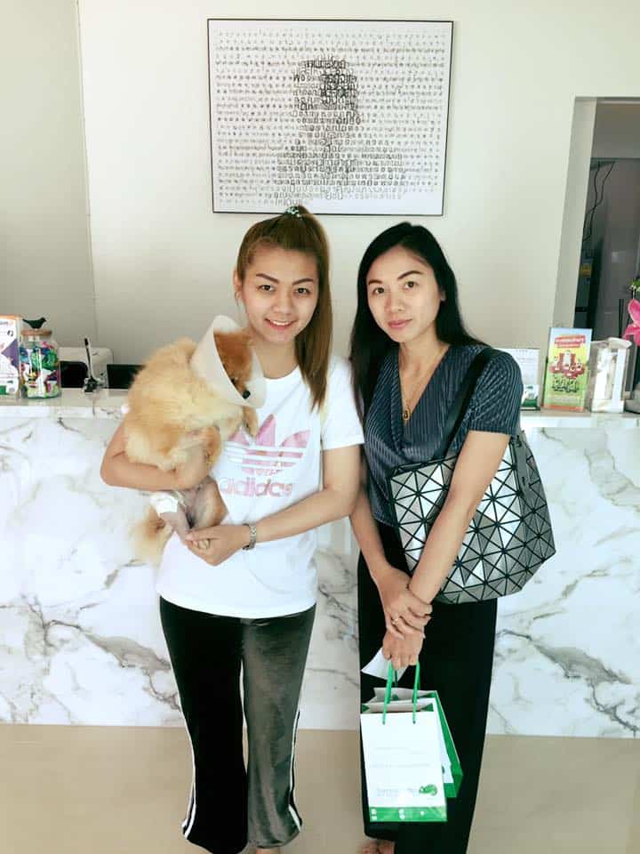 โรงพยาบาลสัตว์สีเขียว Green Animal Hospital 2