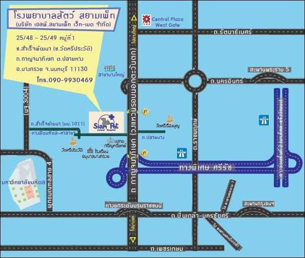 โรงพยาบาลสัตว์สยามเพ็ท Siam Pet Animal Hospital 1