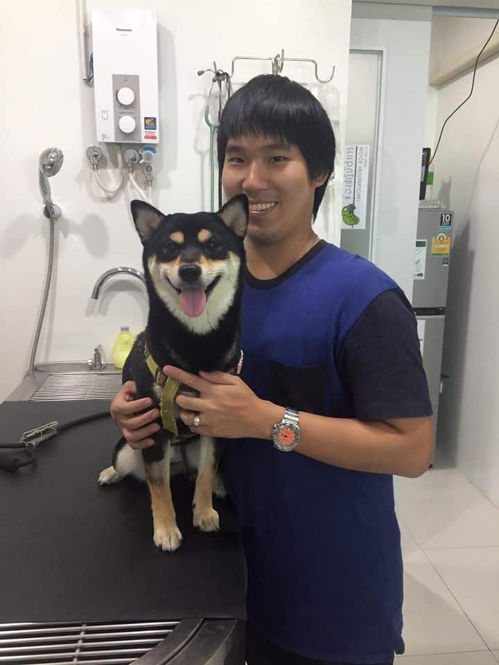 โรงพยาบาลสัตว์สีเขียว Green Animal Hospital 4