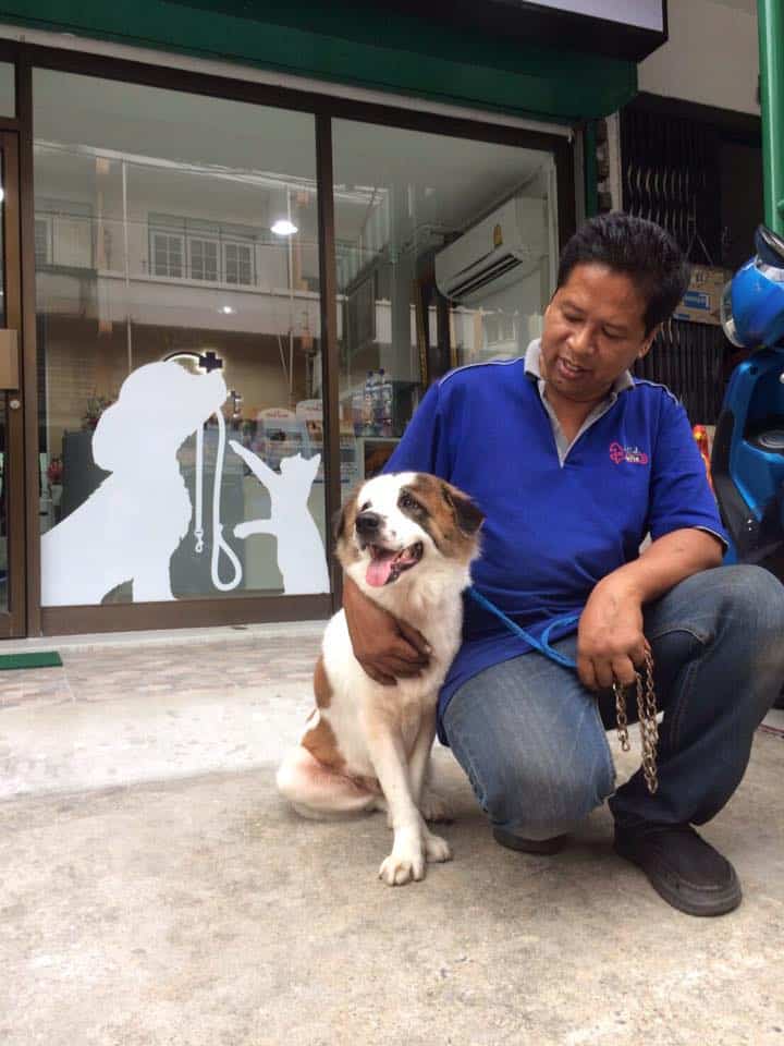 โรงพยาบาลสัตว์สยามเพ็ท Siam Pet Animal Hospital 2