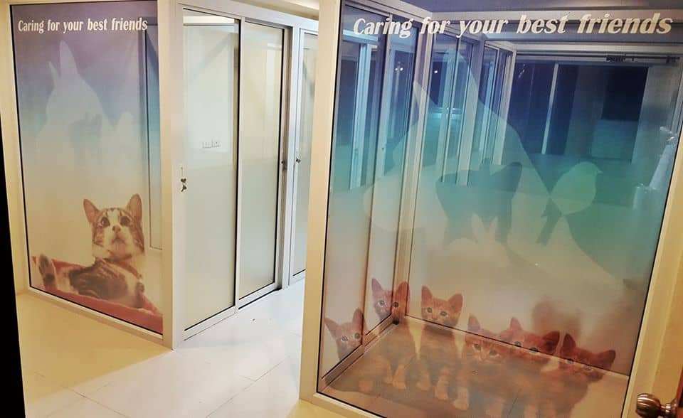 Grand Avenue Pet Hospital (โรงพยาบาลสัตว์แกรนด์อเวนิว) 4