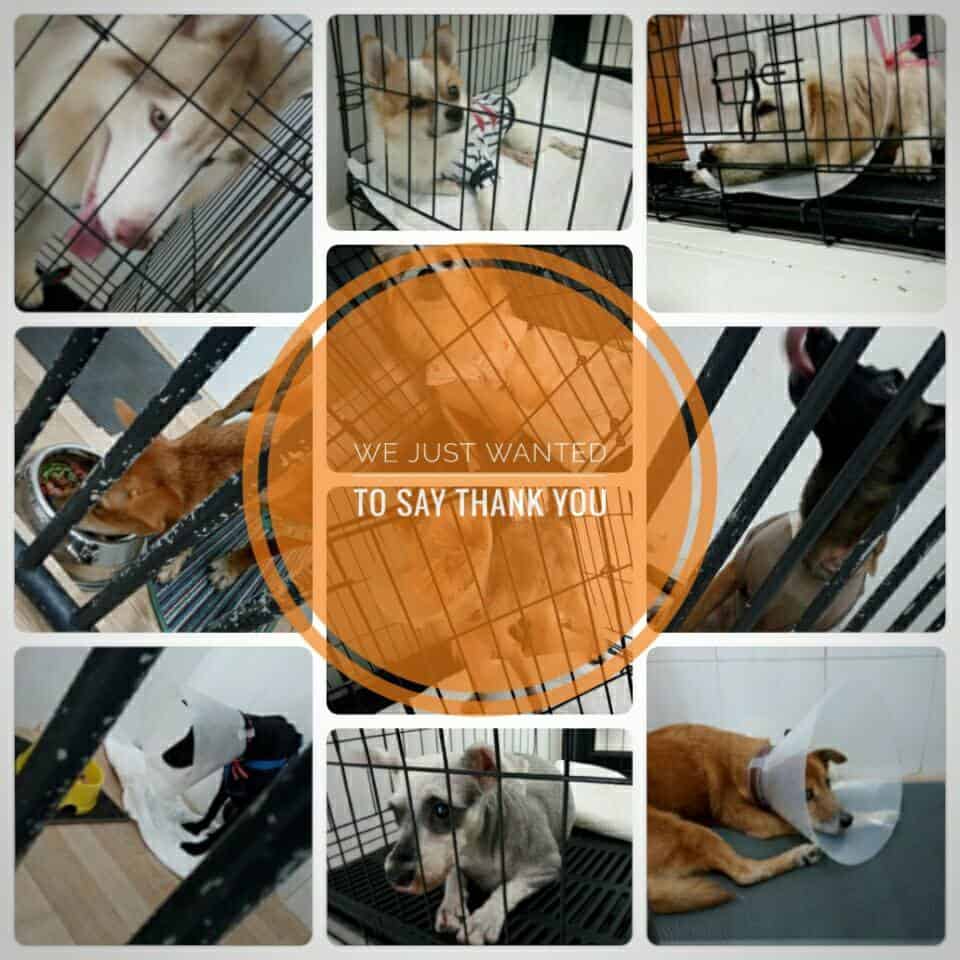 Sattawat Animal Clinic (ศตวรรษสัตวแพทย์) 2