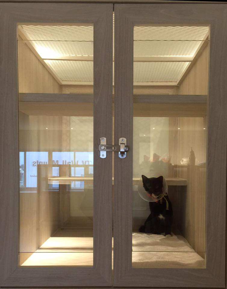 PetWell Animal Hospital (โรงพยาบาลสัตว์เพ็ทเวล) 5
