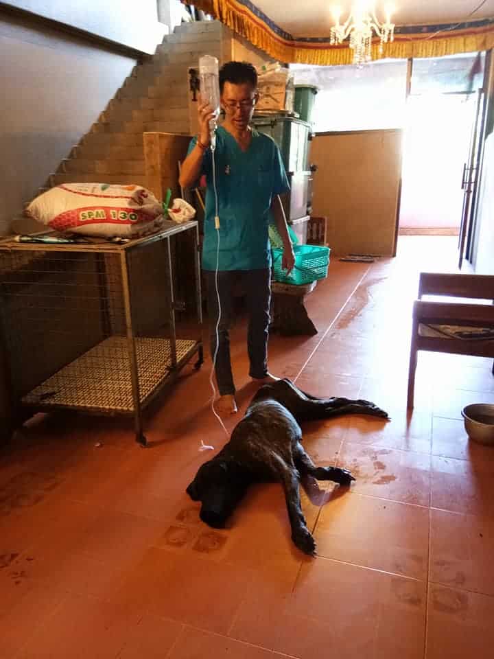 Friendship Vet (คลินิกมิตรภาพรักษาสัตว์) 4