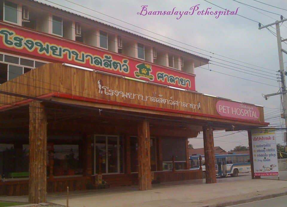 โรงพยาบาลสัตว์บ้านศาลายา Salaya Home Animal Hospital 6