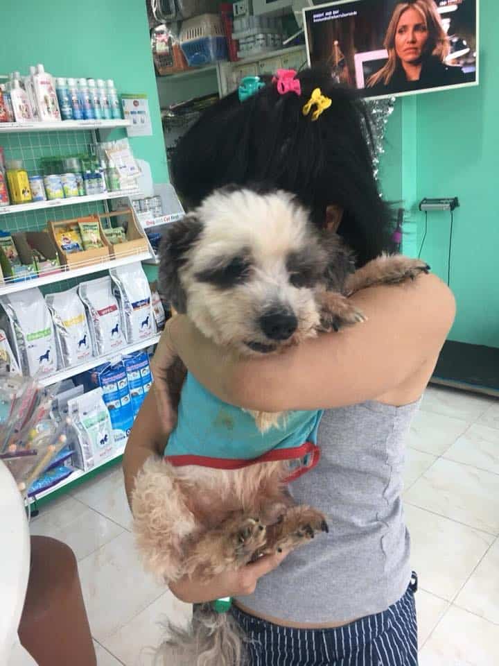 โรงพยาบาลสัตว์ฐานิตฝนทิพย์ (Tanit Fonthip Veterinary Hospital) 1