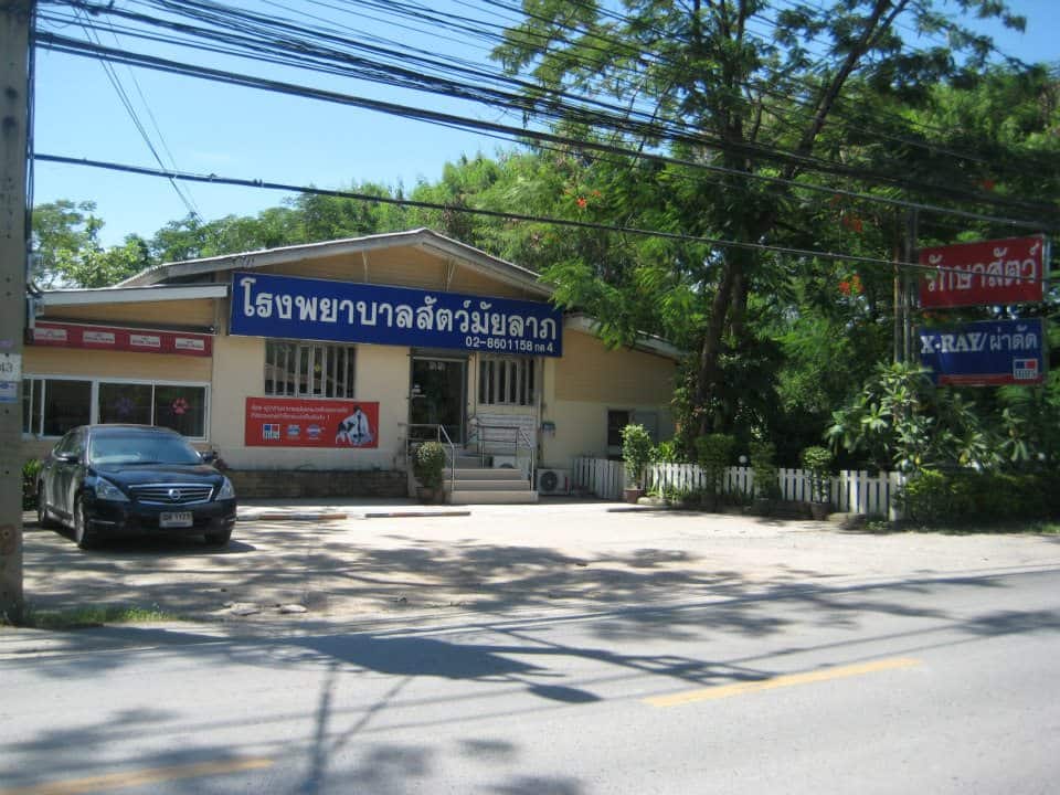 โรงพยาบาลสัตว์มัยลาภ (Animal Hospital Maiyalap) 1