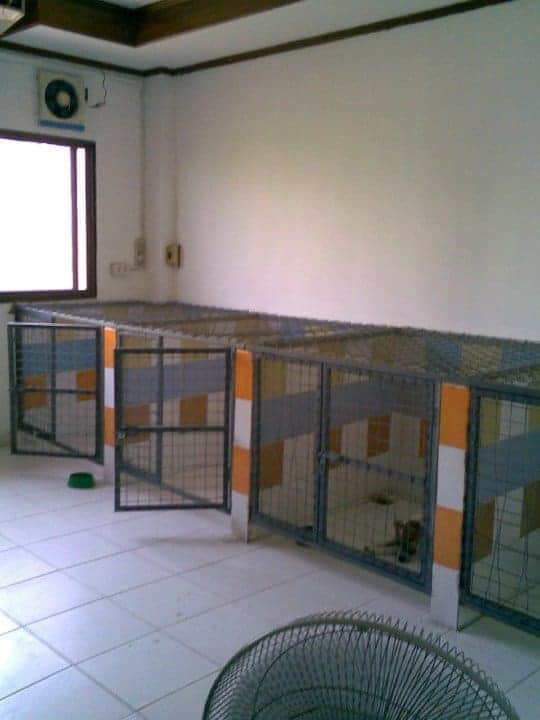 โรงพยาบาลสัตว์ร่มฤดีสัตวแพทย์ (ลาดพร้าว-วังหิน) 2