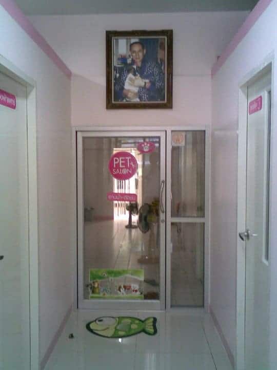 โรงพยาบาลสัตว์ร่มฤดีสัตวแพทย์ (ลาดพร้าว-วังหิน) 3