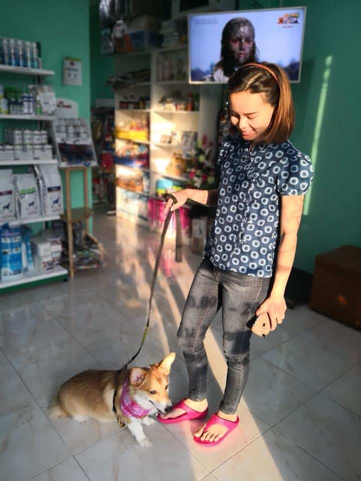 โรงพยาบาลสัตว์ฐานิตฝนทิพย์ (Tanit Fonthip Veterinary Hospital) 5
