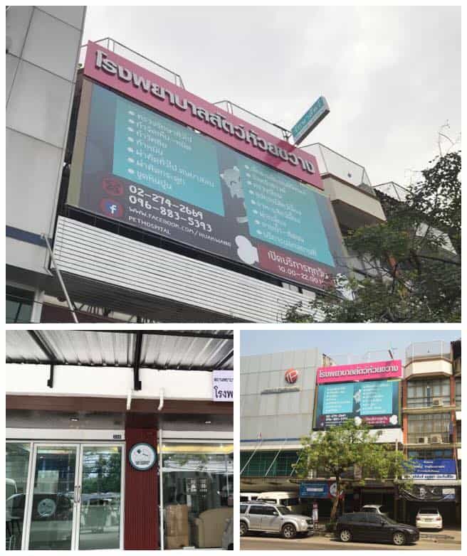 Huaikhwang Pet Hospital (โรงพยาบาลสัตว์ห้วยขวาง) 2