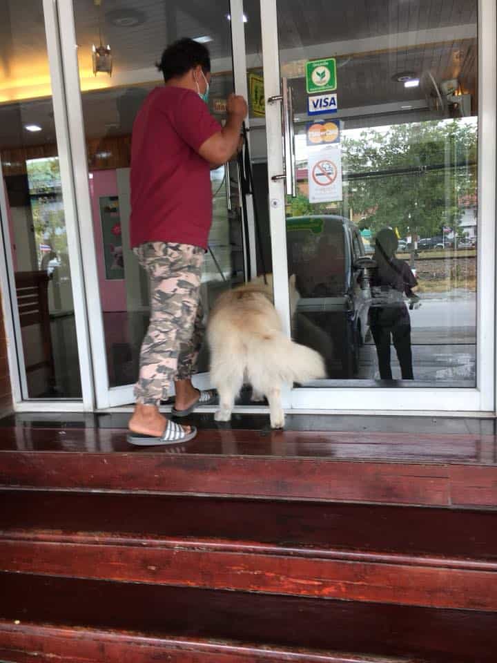 โรงพยาบาลสัตว์บ้านศาลายา Salaya Home Animal Hospital 1