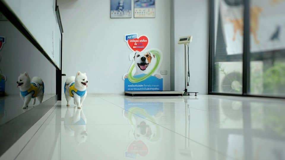 Sattawat Animal Clinic (ศตวรรษสัตวแพทย์) 3