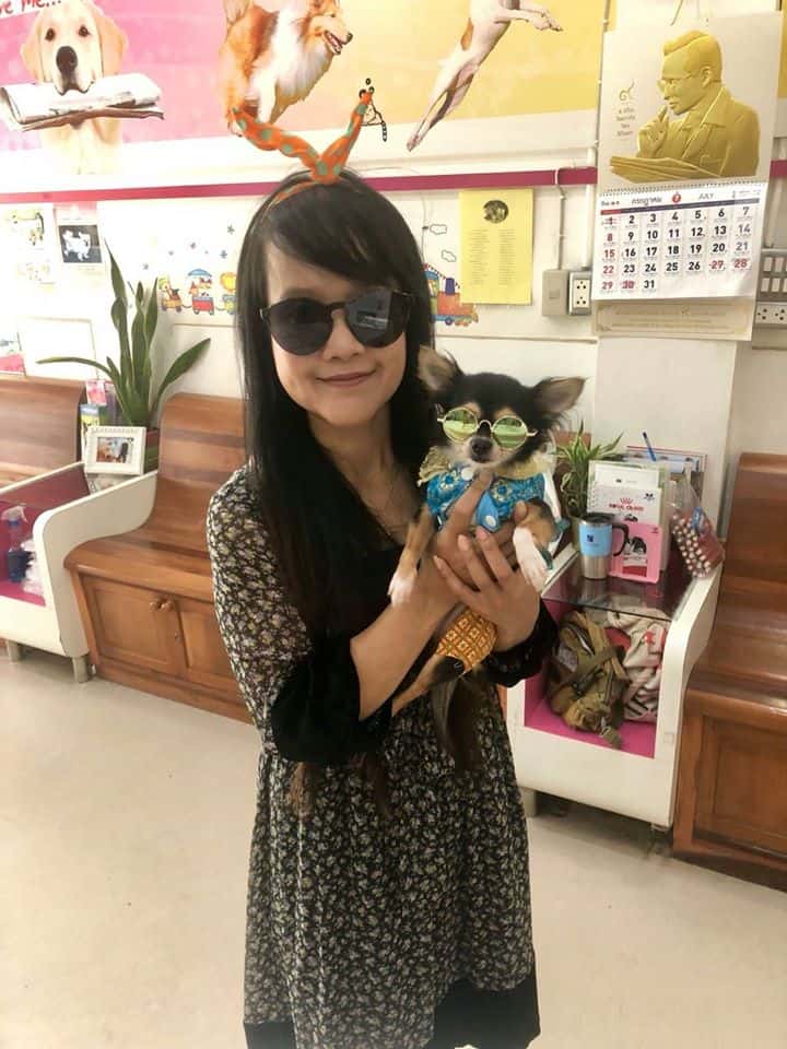 Pradiphat Vet Clinic (ประดิพัทธ์สัตวแพทย์) 6