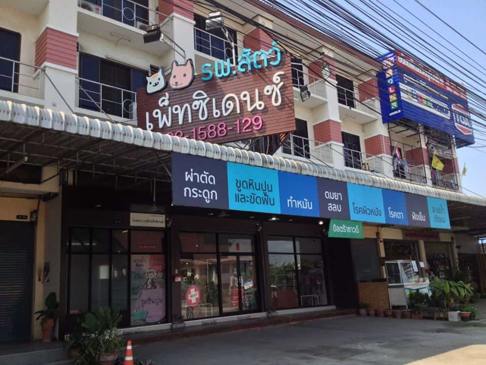 โรงพยาบาลสัตว์เพ็ทซิเดนซ์ Petsidence 9