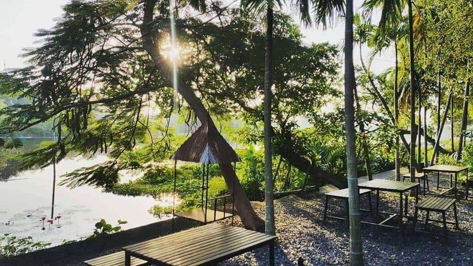 Prem Cafe In the Garden (ปทุมธานี) 2
