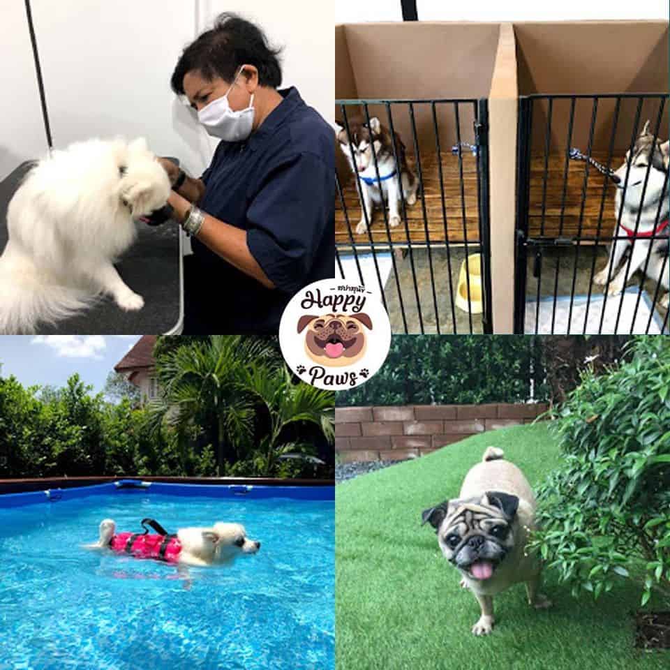 The Pet Resort (ปากเกร็ด) 4