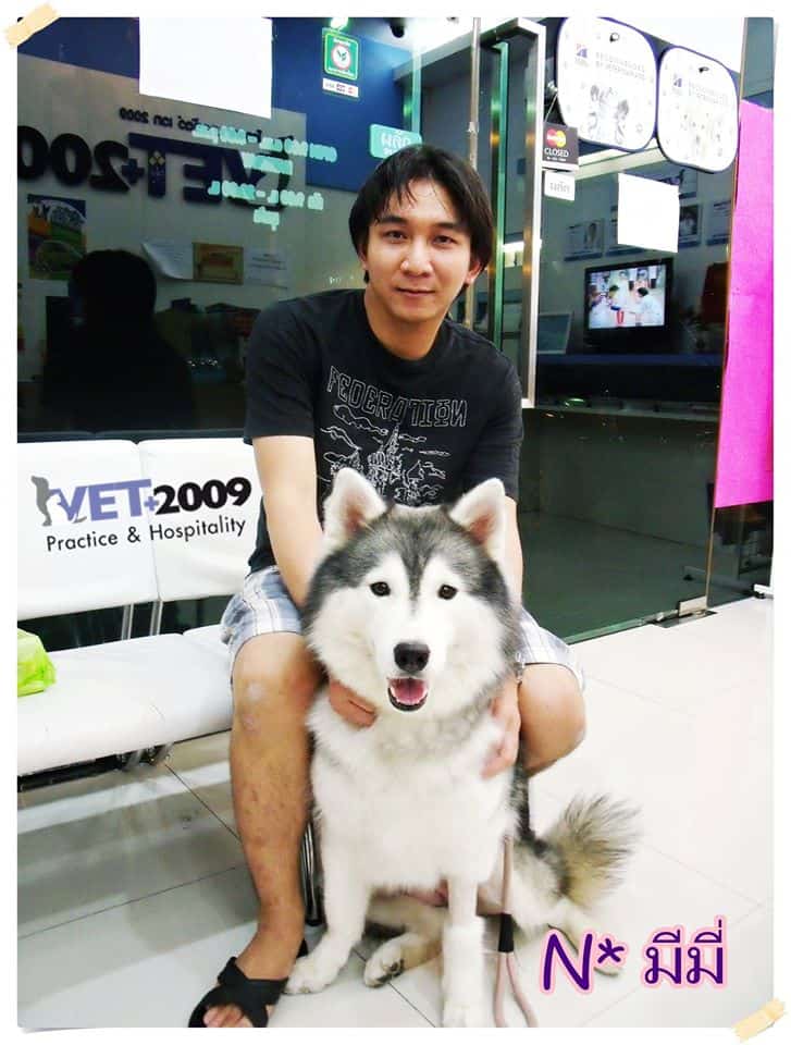 VET 2009 Pet Hospital (โรงพยาบาลสัตว์ เวท 2009) 1