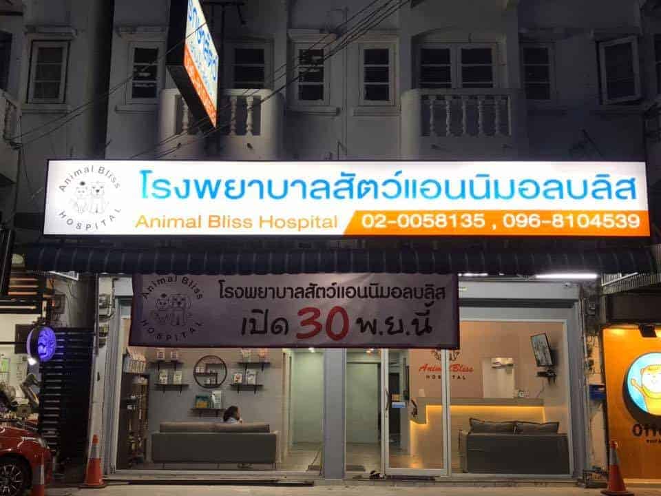 Animal Bliss Hospital (โรงพยาบาลสัตว์แอนนิมอลบลิส) 2