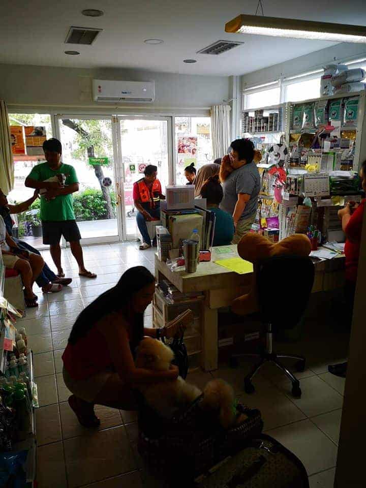 โรงพยาบาลสัตว์แบริ่ง 2