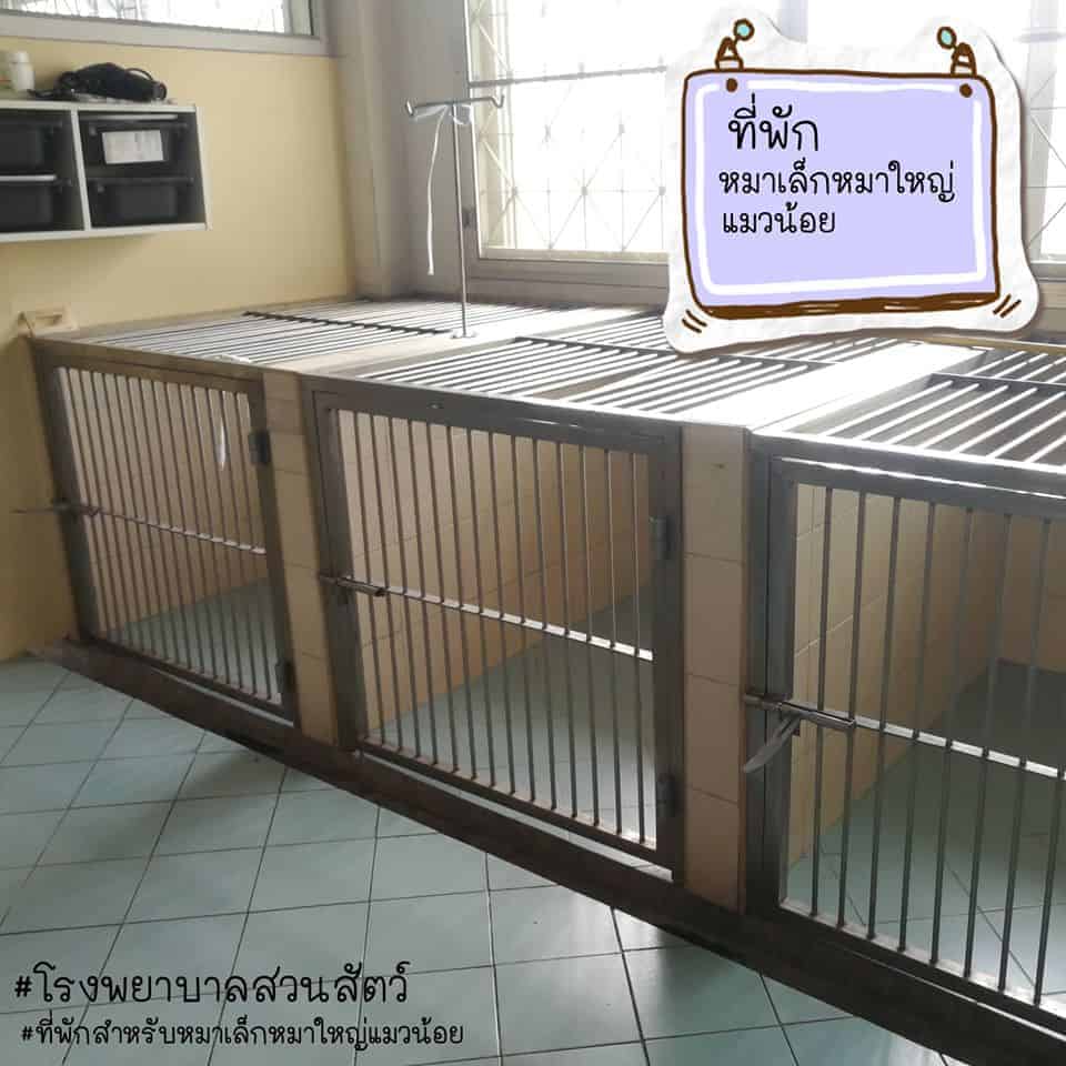 Animal Farm Veterinary Hospital (โรงพยาบาลสวนสัตว์) 4