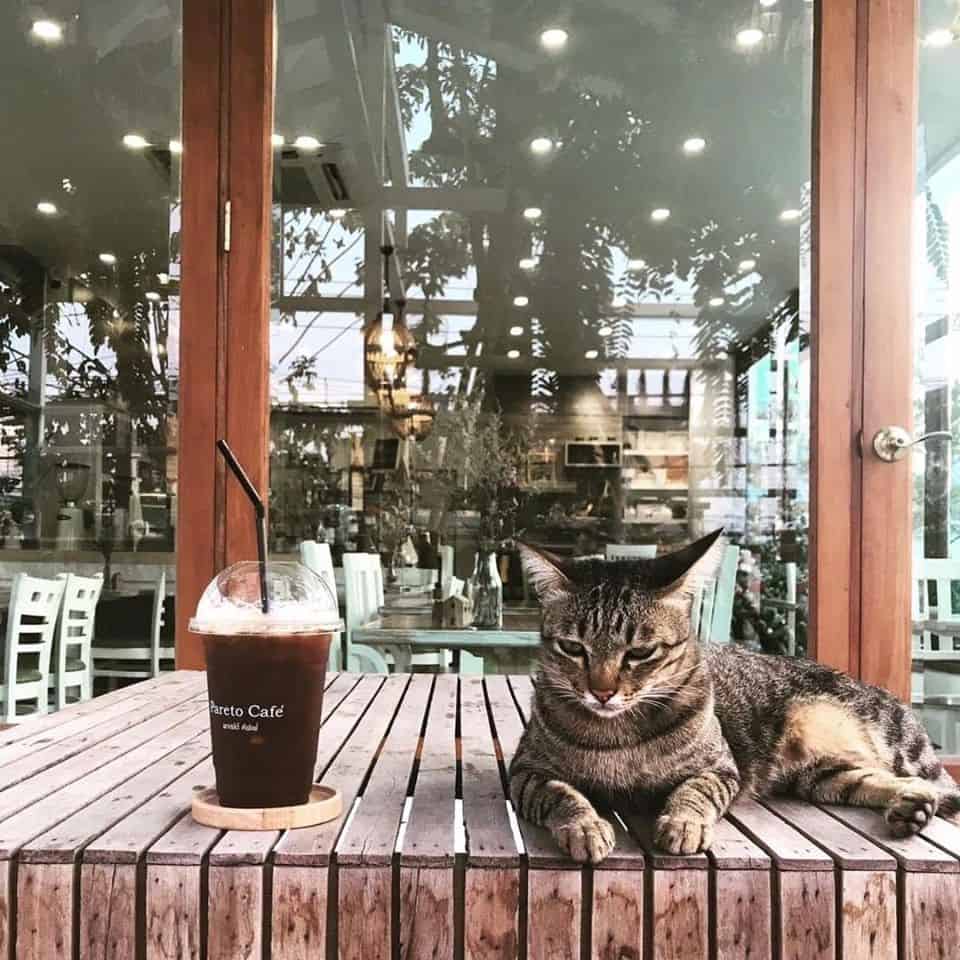 Pareto Cafe’ พาเรโต้ คัฟเฟ่ (ปทุมธานี) 6