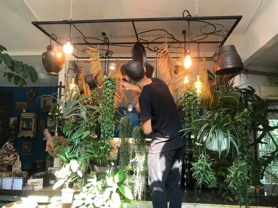Prem Cafe In the Garden (ปทุมธานี) 5