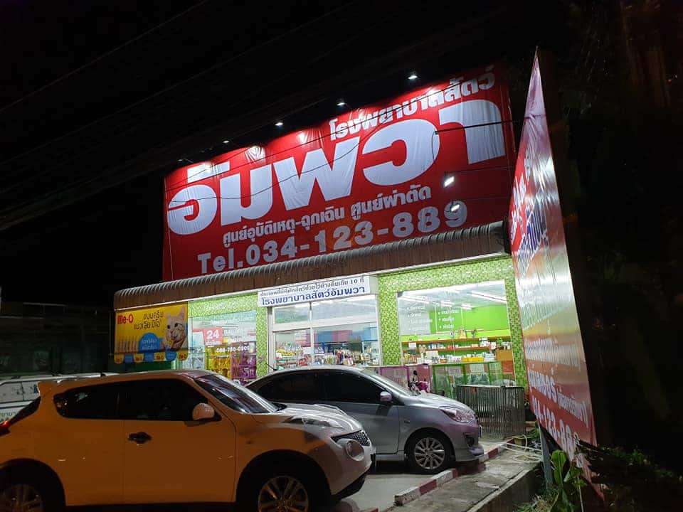 โรงพยาบาลสัตว์อัมพวา (บ้านปรก) Amphawa Pet Hospital 3