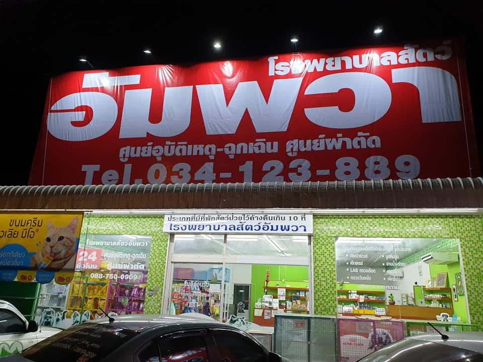 โรงพยาบาลสัตว์อัมพวา (บ้านปรก) Amphawa Pet Hospital 4