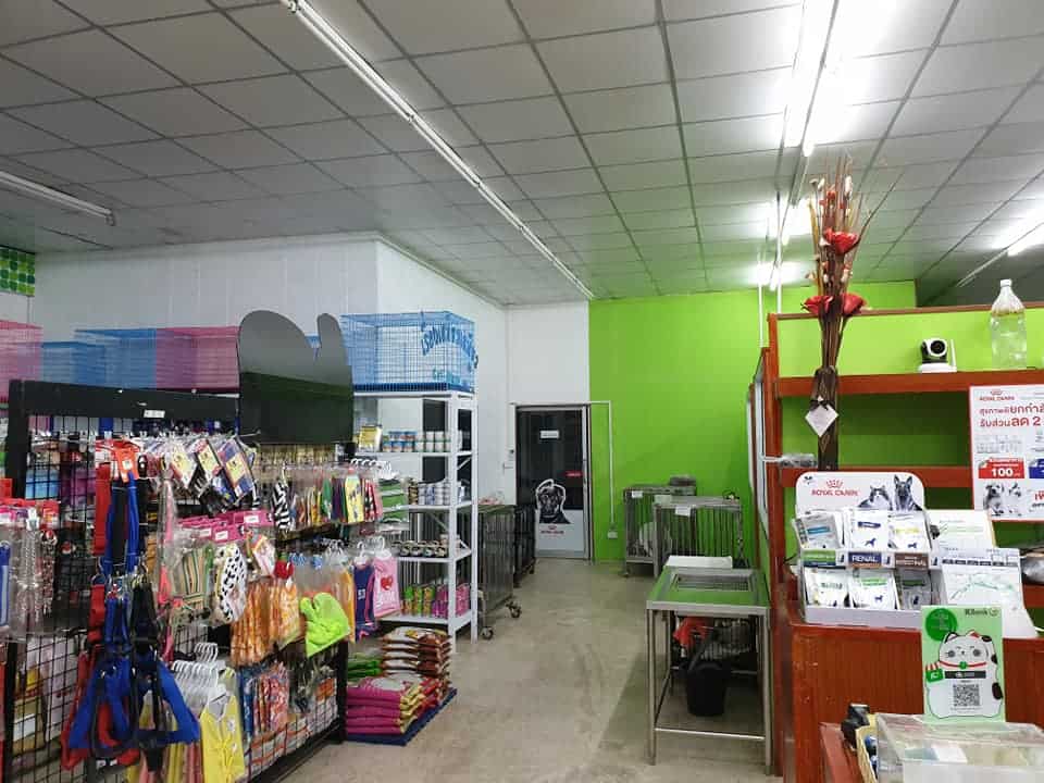 โรงพยาบาลสัตว์อัมพวา (บ้านปรก) Amphawa Pet Hospital 5