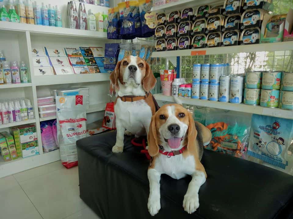 VET 2009 Pet Hospital (โรงพยาบาลสัตว์ เวท 2009) 6