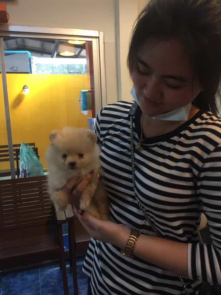 หมอเดียวใจดีสัตวแพทย์ (จตุจักร) 3