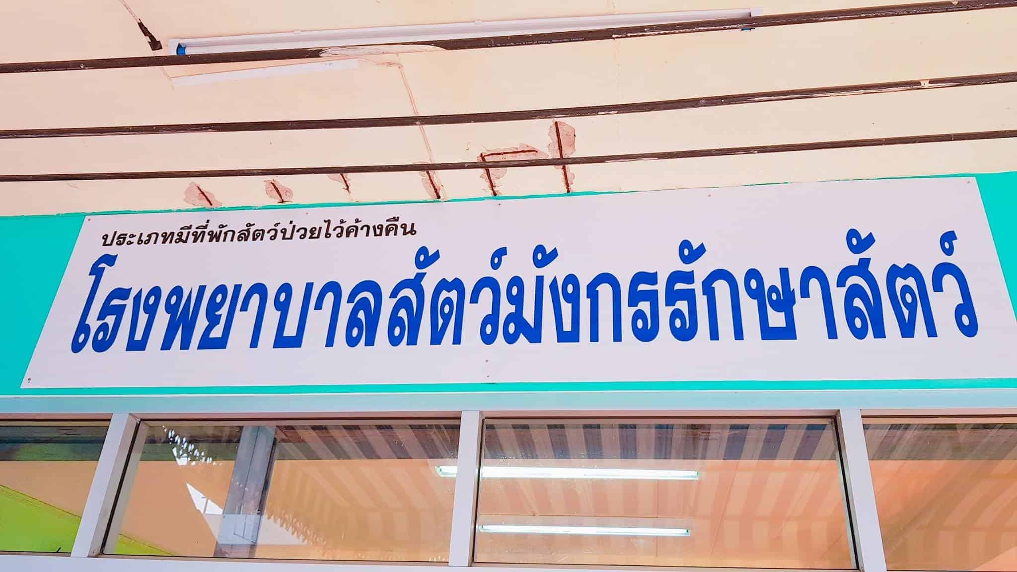 โรงพยาบาลสัตว์มังกรรักษาสัตว์ 2