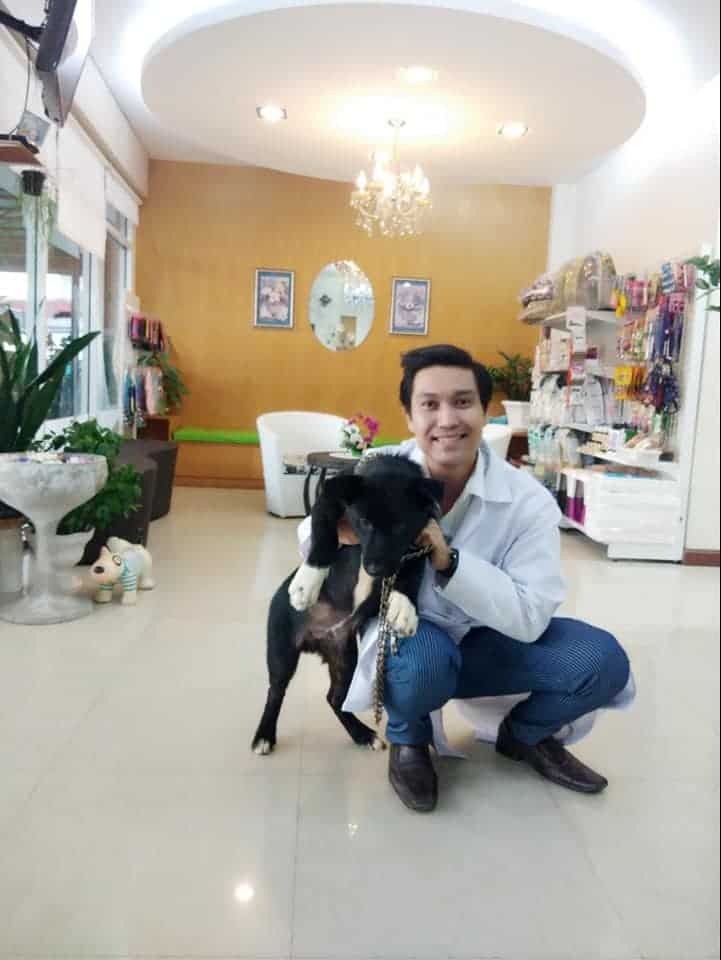 โรงพยาบาลสัตว์เพิ่มสิน Permsin Vet Hospital 3