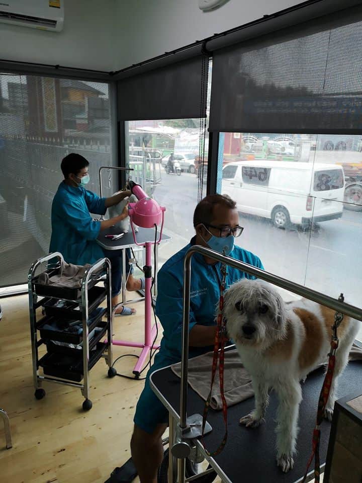 Hong Miao PetShop (ร้านโฮ่ง เหมียว เพ็ทช็อป) 2