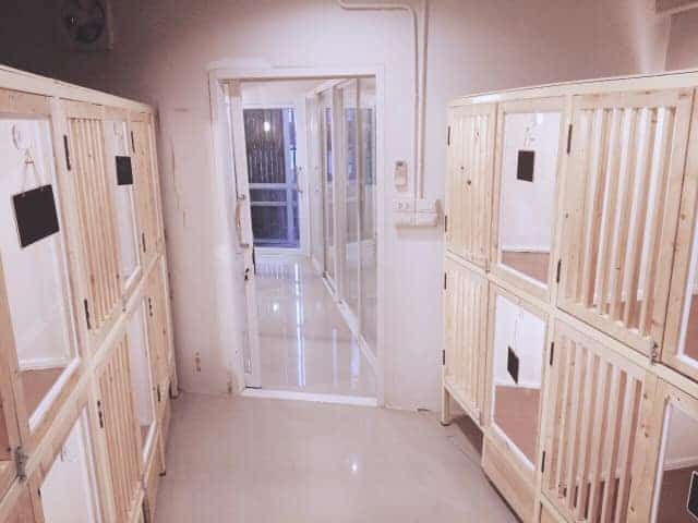 Rak Na Chan (โรงพยาบาลสัตว์รักษ์ ณ จันทน์) 4