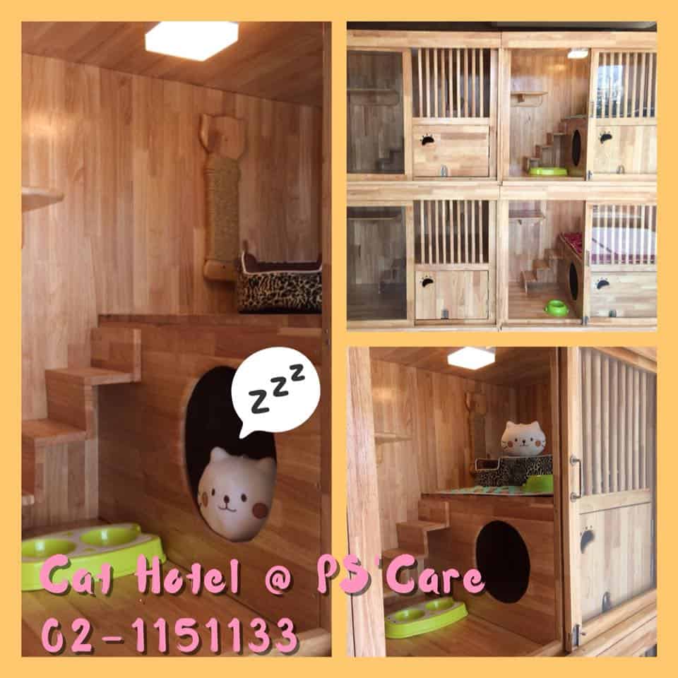 โรงพยาบาลสัตว์พีเอสแคร์ PS'Care Pet Hospital 5