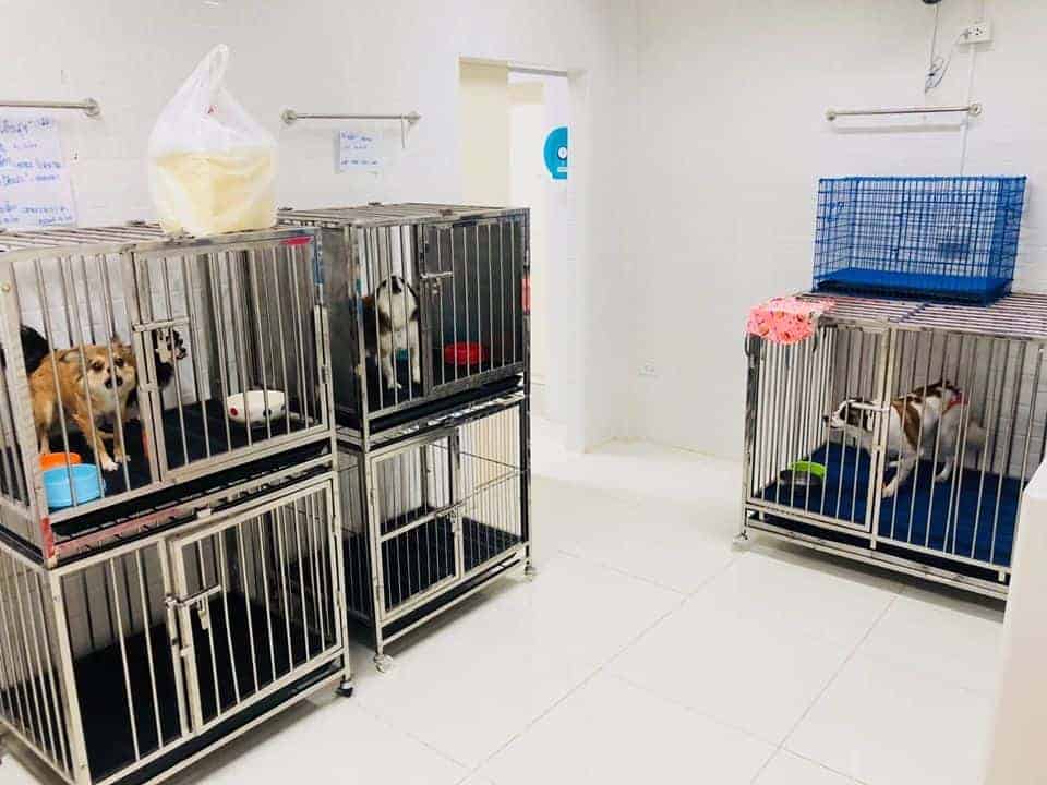NKR VET Hospital (โรงพยาบาลสัตว์นครเวช) 2