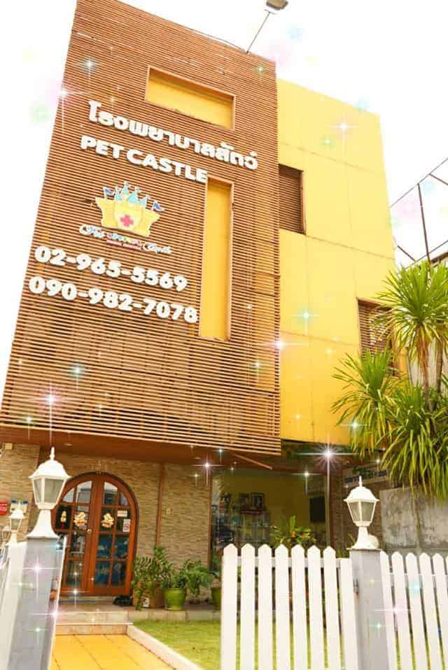 Pet Castle Animal Hospital (รัตนาธิเบศร์) 6
