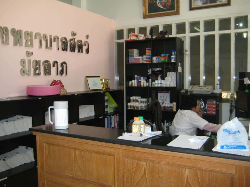 โรงพยาบาลสัตว์มัยลาภ (Animal Hospital Maiyalap) 3